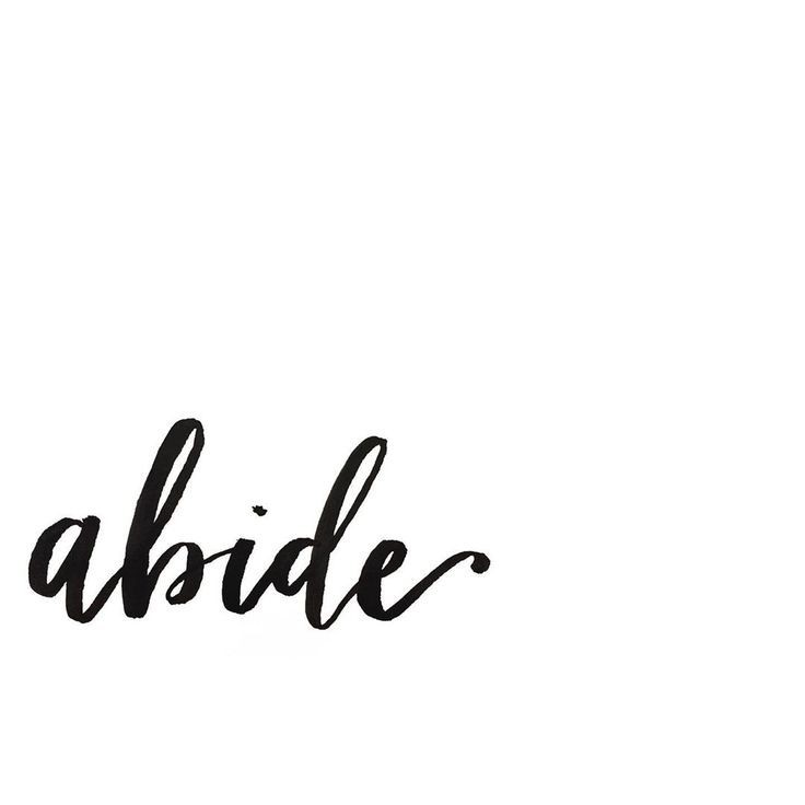 e0ba411ccf841f67ef3dc55390af13d6