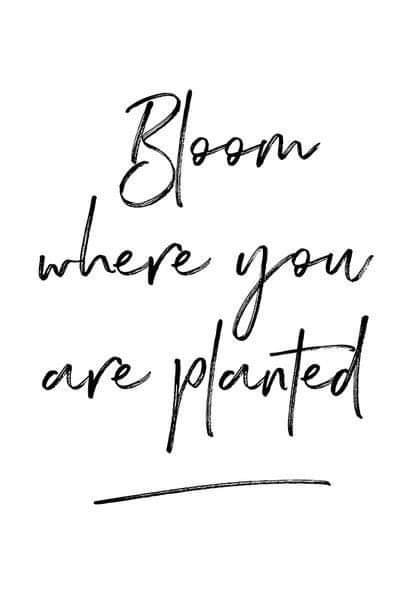 FB_IMG_1580684637880