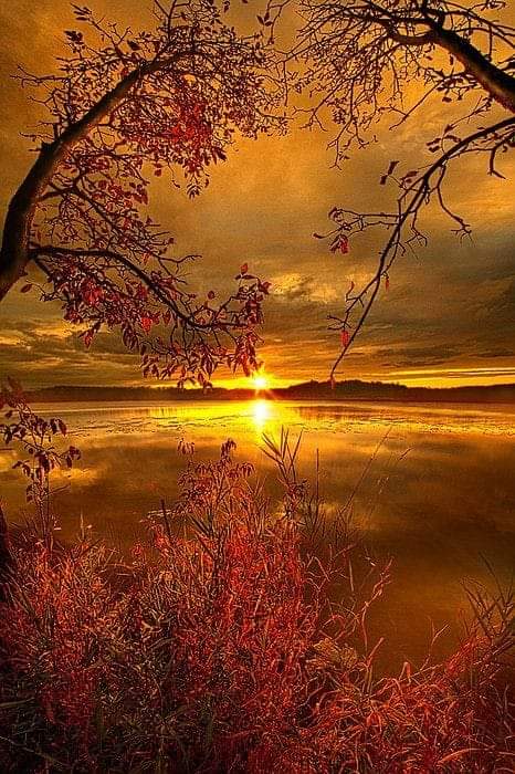 FB_IMG_1580684964014