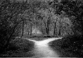 paths diverge 2